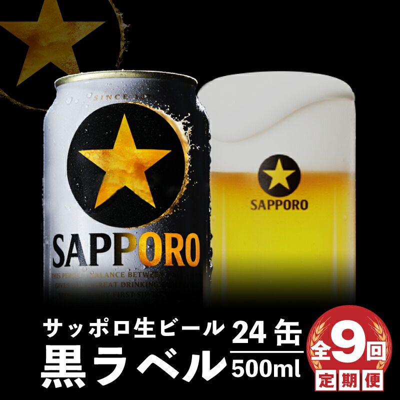 『定期便:全9回』黒ラベル500ml×24本【30008101】北海道恵庭市207000酒・アルコールビール・発泡酒