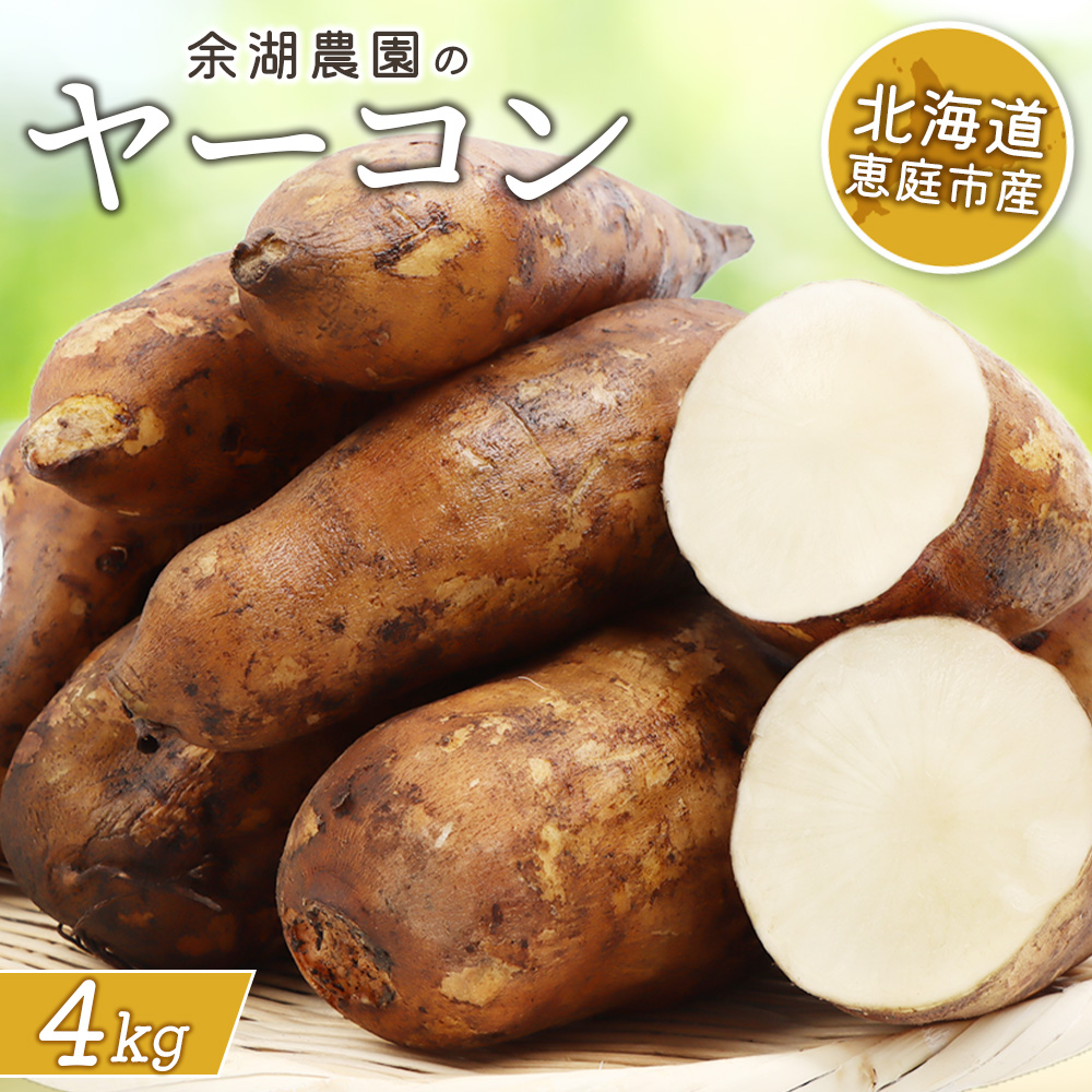 【北海道恵庭市産】余湖農園のヤーコン4kg【31001401】北海道恵庭市11000野菜・きのこその他 野菜