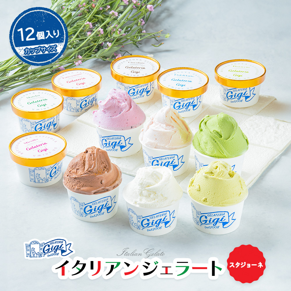 ジェラテリアGigiイタリアンジェラート6種【カップサイズ12個】【43001601】北海道恵庭市17500菓子・スイーツアイス・ジェラート