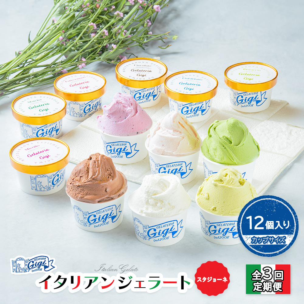 【定期便:全3回】ジェラテリアGigiのイタリアンジェラート6種(Gigiのおまかせ1種入り)【カップサイズ12個】 (牛乳、ピスタチオ、抹茶、チョコレート、ブルーベリーヨーグルト、Gelateria Gigi