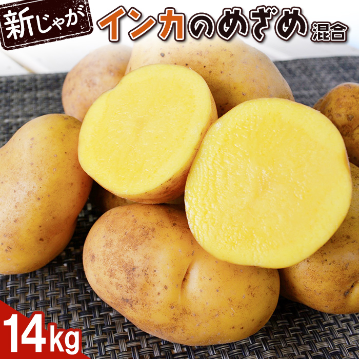 【新じゃが】インカのめざめ(混合) 14kg【83000102】北海道恵庭市16000野菜・きのこじゃがいも・イモ類