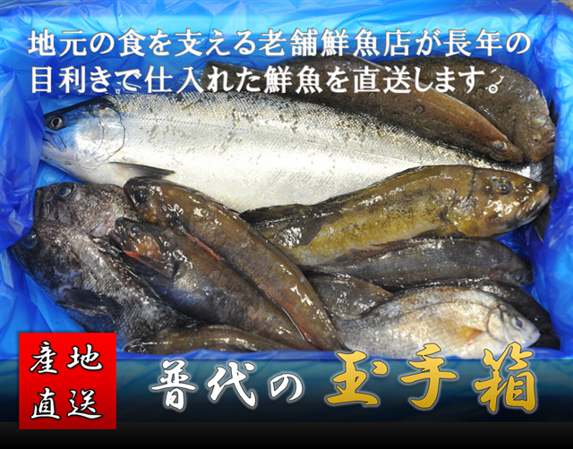 【新鮮・産地直送】普代の玉手箱(鮮魚詰合せ)岩手県普代村30000魚介・海産物鮮魚