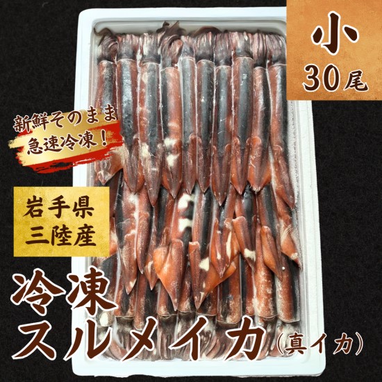 yNx̂܂܋}ⓀzⓀXCJ TCY 30  CJ茧㑺15000ECYCJE^REEj