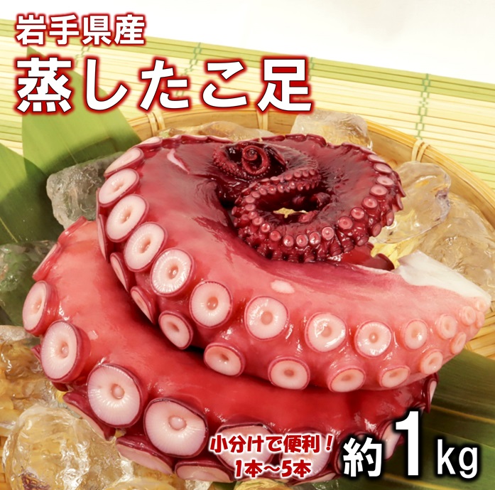 茧kOY  Pkg ^R ՂՂ ӂ 炩茧㑺13000ECYCJE^REEj