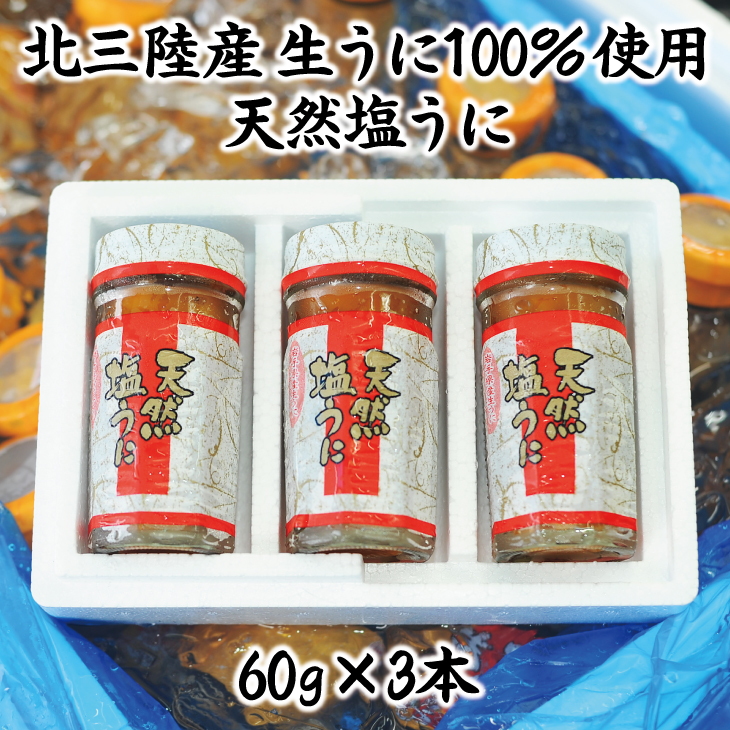 kOY  100gp VR60 3{茧㑺29000ECYCJE^REEj