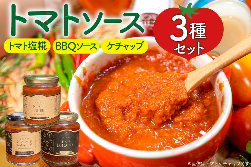 3 lߍ킹 e1 [_t@[ R s 21471030] Zbg lߍ킹 \[X ^   P`bv Ƃ܂ tomato g}g g}g\[XRs14000ZbgE؁EH