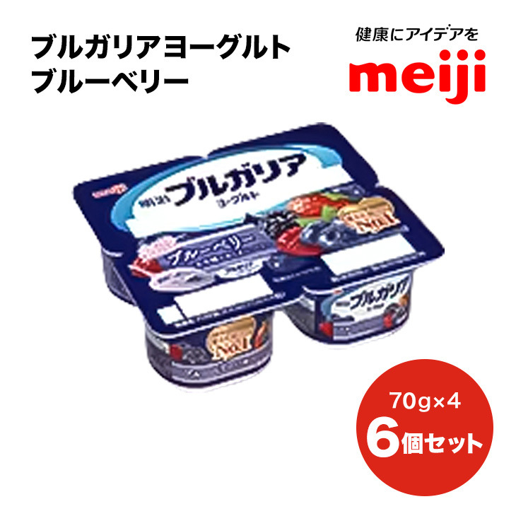 ブルガリア ヨーグルト ブルーベリー フルーツ 乳製品 発酵食品 合計1800g茨城県守谷市6000卵・乳製品その他卵・乳製品