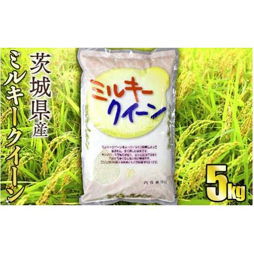 令和5年産茨城ミルキークイーン 5kg【お米・米・ミルキークイーン・5kg】茨城県守谷市8000米・パン白米