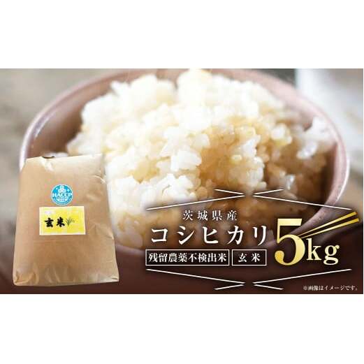 【残留農薬不検出米】茨城県産 コシヒカリ 5kg【玄米】 令和5年産 単一原料米 米 お米 おこめ ごはん 残留農薬不検出 無農薬 ブランド米 国産 常温 守谷市茨城県守谷市11000米・パン玄米・雑