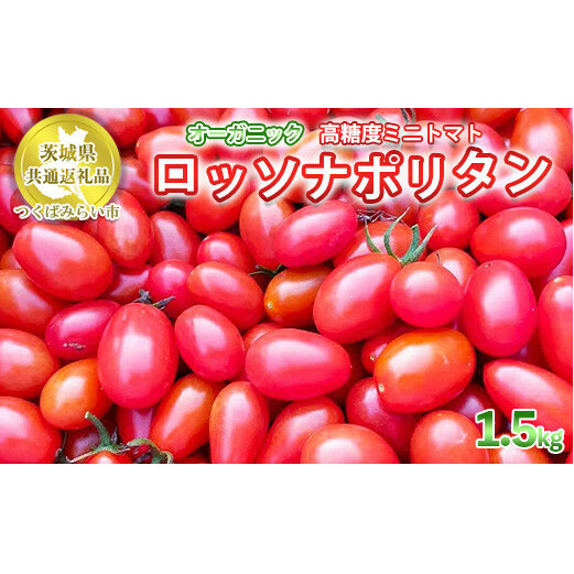 オーガニック高糖度ミニトマト「ロッソナポリタン」【農薬・肥料不使用】【茨城県共通返礼品 つくばみらい市】 ※2023年6月上旬頃より順次発送予定茨城県守谷市10000野菜・きのこトマト
