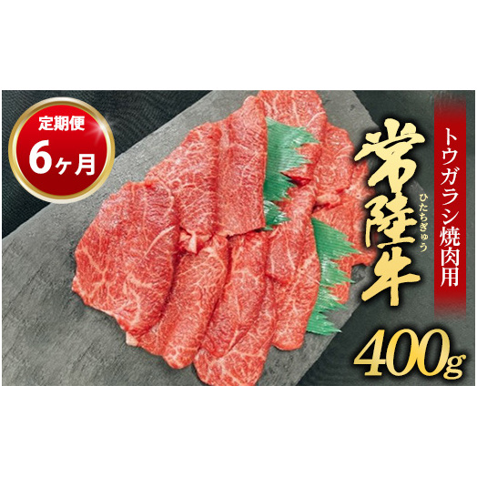 【定期便 6ヶ月】【希少部位】常陸牛トウガラシ焼肉用400g(茨城県共通返礼品 茨城県産)茨城県守谷市66000肉牛肉