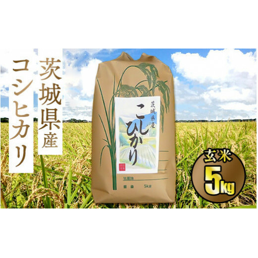 令和5年茨城県産コシヒカリ5kg【玄米】茨城県守谷市9000米・パン玄米・雑穀米・もち米・餅