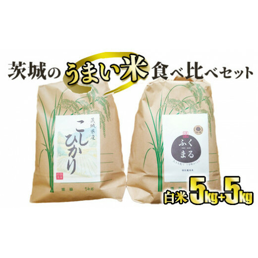 ☆茨城のうまい米・食べ比べセット(1) コシヒカリ5kg+ プレミアムふくまる特別栽培米5kg【白米】茨城県守谷市19000米・パン白米