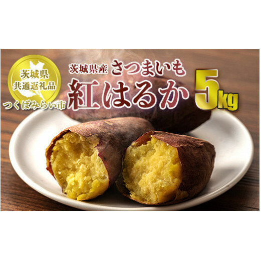 【先行予約】さつまいも 紅はるか 約5kg 旬 芋 お芋 サツマイモ【茨城県共通返礼品 つくばみらい市】 ※2024年11月上旬頃より順次発送予定茨城県守谷市10000野菜・きのこじゃがいも・イモ類