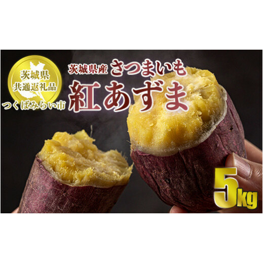 【先行予約】さつまいも 紅あずま 約5kg 旬 芋 お芋 サツマイモ【茨城県共通返礼品 つくばみらい市】 ※2024年11月上旬頃より順次発送予定茨城県守谷市10000野菜・きのこじゃがいも・イモ類