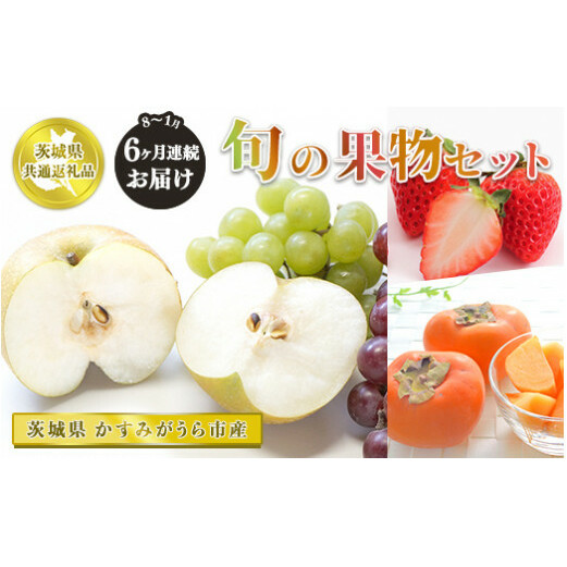 【先行予約】【定期便】果物セット 旬 6ヵ月連続(8、9、10、11、12、1月)【茨城県共通返礼品 かすみがうら市】 ※2024年8月〜2025年1月頃に順次発送予定 茨城県守谷市90000果物・フルーツ