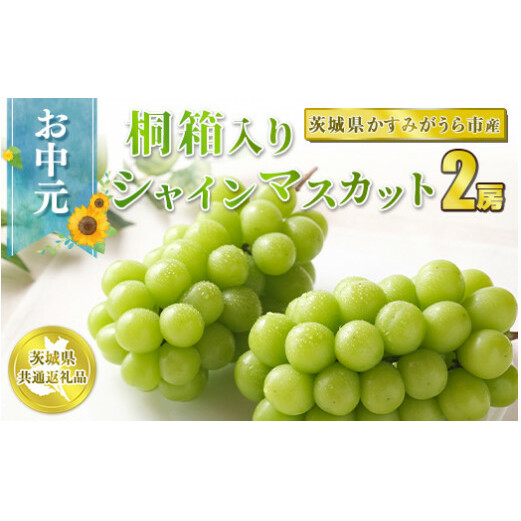  VC}XJbg˔2[ y錧ʕԗi ݂sz@2024N8{`{ɏ\錧Js40000ʕEt[c}XJbgEԂǂ