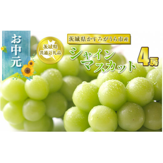 お中元 シャインマスカット 4房【茨城県共通返礼品 かすみがうら市】 ※2024年8月上旬〜中旬頃に順次発送予定茨城県守谷市40000果物・フルーツマスカット・ぶどう