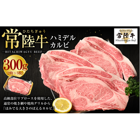 【常陸牛】ハミデルカルビ300g(2〜3枚)(茨城県共通返礼品 茨城県産)茨城県守谷市12000肉牛肉