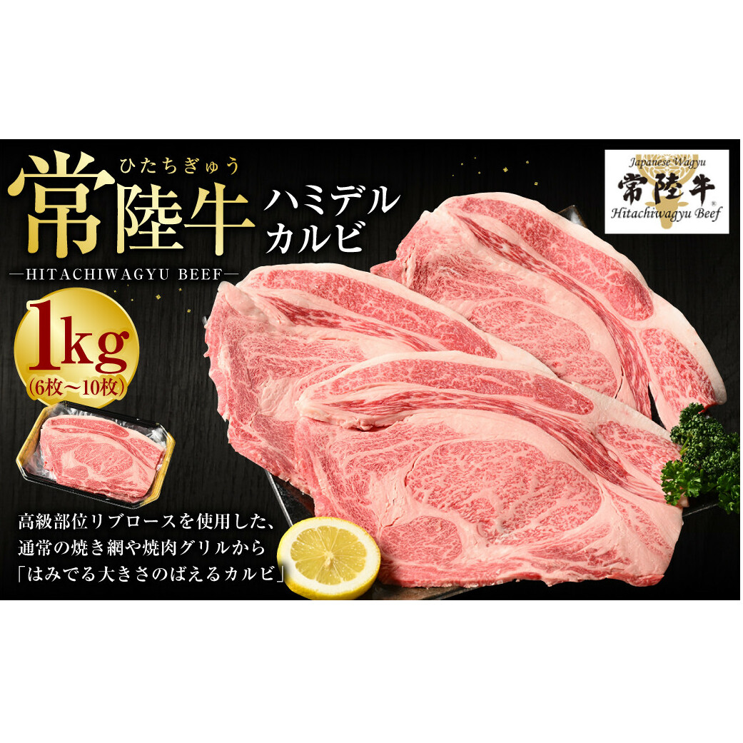 【常陸牛】ハミデルカルビ1kg(6枚〜10枚)(茨城県共通返礼品 茨城県産)茨城県守谷市40000肉牛肉