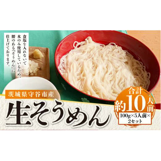 生そうめん 100g×5人前×2セット | そうめん 10人前 10食 セット 麺 麺類 辛汁 冷凍 茨城県 守谷市茨城県守谷市10000麺そうめん・ひやむぎ