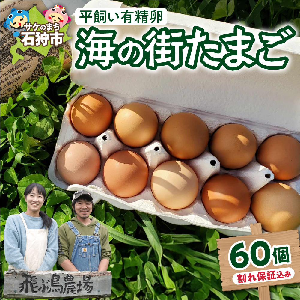 飛ぶ鳥農場 海の街たまご 60個_is085-002-000北海道石狩市15000卵・乳製品卵(鶏、烏骨鶏等)