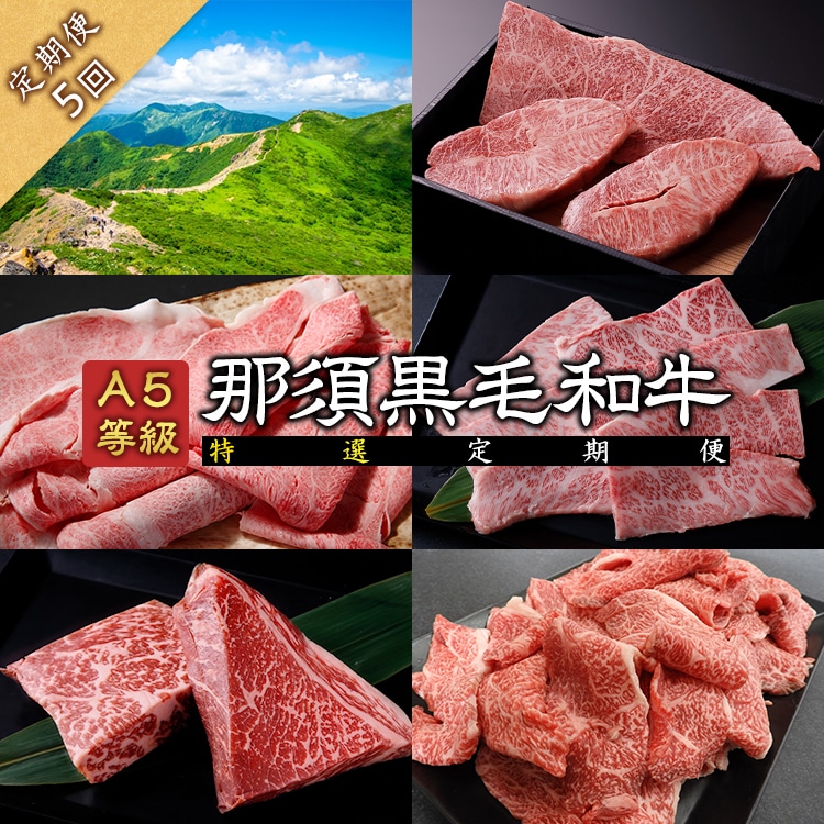 《定期便5回》A5等級 那須黒毛和牛 特選定期便 ステーキ しゃぶしゃぶ カルビ もも肩肉 牛小間 〔I-14〕| 牛肉 国産 赤身 那須和牛 黒毛和牛 那須黒毛和牛 とちぎ和牛 栃木和牛 ブランド牛 A5