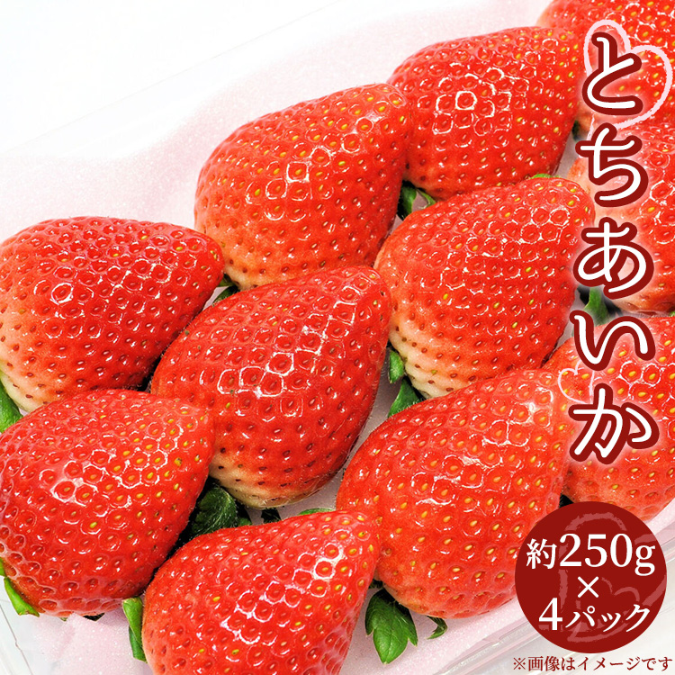【先行受付】とちあいか 約250g×4パック 計約1kg〔P-220〕 | いちご イチゴ 苺 フルーツ 果物 デザート ストロベリー 那須 栃木県 那須町 ※2025年1月中旬頃より順次発送予定栃木県那須町13000果