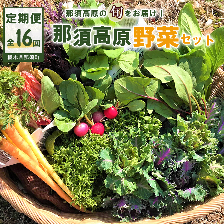 【全16回定期便】那須ブランド 那須高原野菜セット(5月後半1回、6月〜12月各月2回、翌年1月1回)| 野菜 お野菜 新鮮 詰め合わせ やさい みずみずしい 美味しい〔P-66〕※北海道・沖縄・離