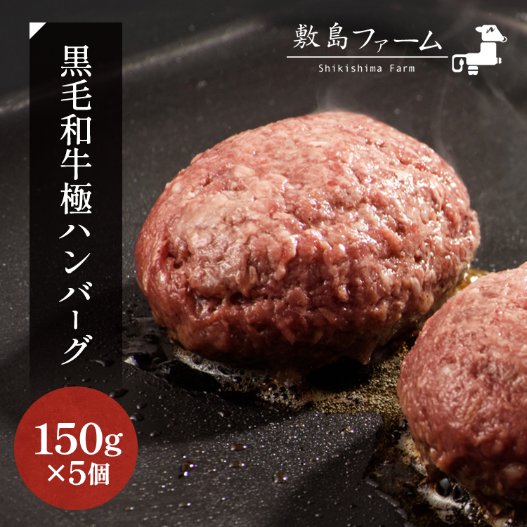 那須高原 敷島和牛手作りハンバーグ(150g×5個)計750g 小分け ハンバーグ 肉 お肉 牛肉 国産 黒毛和牛 冷凍  栃木県 那須町《敷島ファーム》〔B-82〕※着日指定不可※北海道・沖縄・離島への