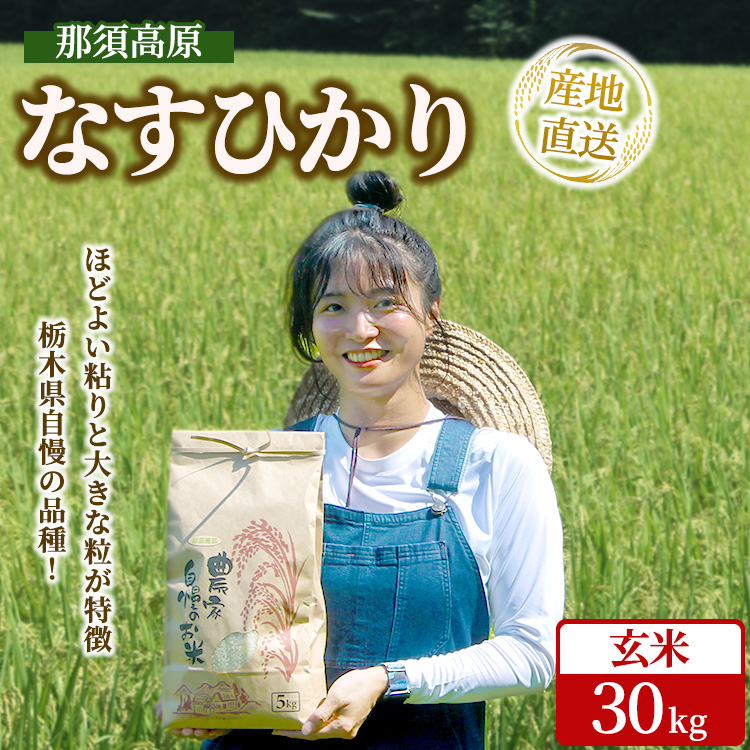 那須高原 令和7年産 なすひかり 30キロ 玄米〔P-421〕 | 新米 30kg ナスヒカリ 米 こめ コメ ごはん ご飯 産地直送 期間限定 季節限定 栃木県 那須町 ※2025年10月中旬〜2026年2月下旬頃に順次発送