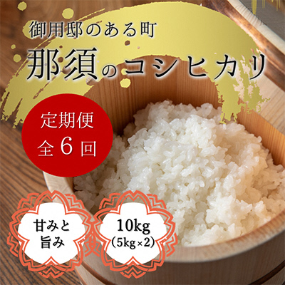 【定期便6ヶ月】那須町産コシヒカリ5kg×2袋〔P-279〕|米 お米 国産 白米 ご飯 ごはん ゴハン 国産 那須 栃木県 那須町 水車の里 瑞穂蔵 ※沖縄・離島への配送不可栃木県那須町172000米・パン