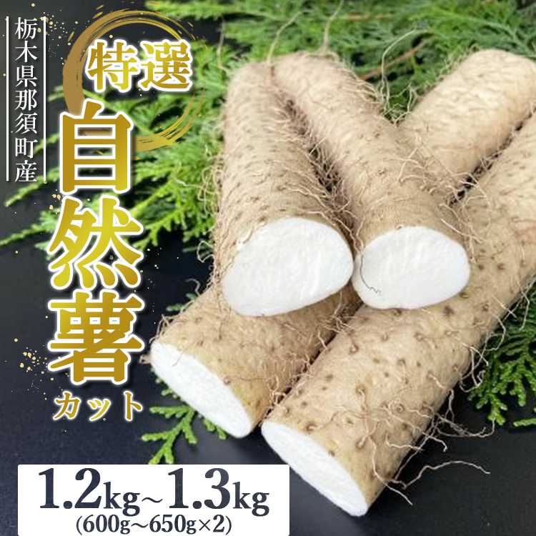 那須町産 自然薯(カット)1.2kg〜1.3kg|カット お土産 贈り物 ご自宅用 とろろ とろろご飯 山芋 健康 国産 産地直送 那須 栃木県 那須町〔P-152〕 ※2025年12月頃より順次発送予定栃木県那須町1