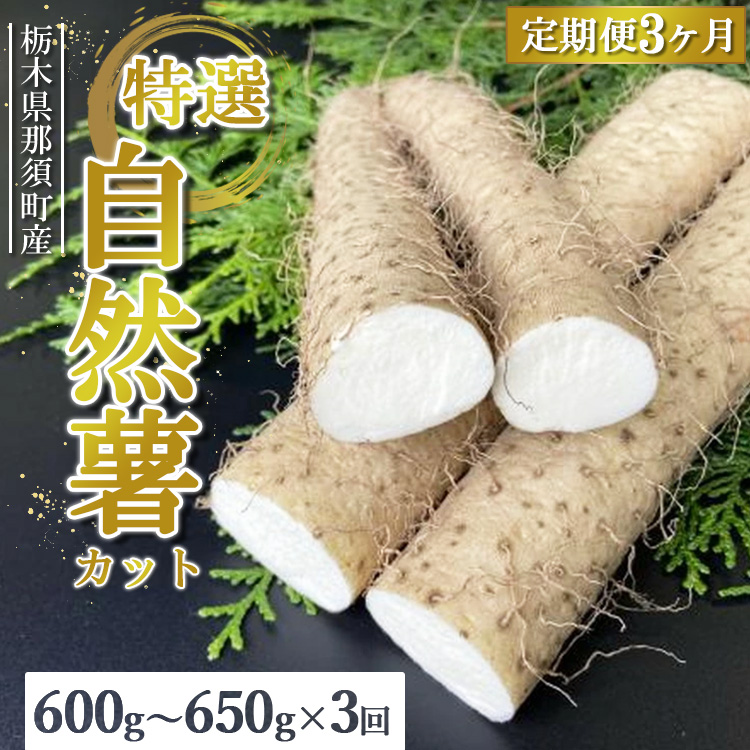 【定期便3ヵ月】那須町産 自然薯(カット)600g〜650g |とろろ 贈り物 お土産 グルメ 美味しい おいしい 食べ物 那須 栃木県 那須町〔P-213〕 ※2025年12月頃より順次発送予定栃木県那須町18000