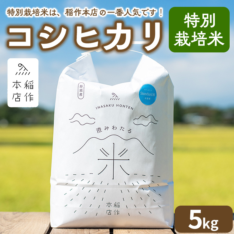 【令和7年産】特別栽培米 コシヒカリ 5kg 〔P-288〕 | こしひかり 米 お米 コメ こめ 精米 濃厚 甘い 国産 那須 栃木県 那須町 ※2025年10月下旬頃より順次発送予定栃木県那須町16000米・パン白米