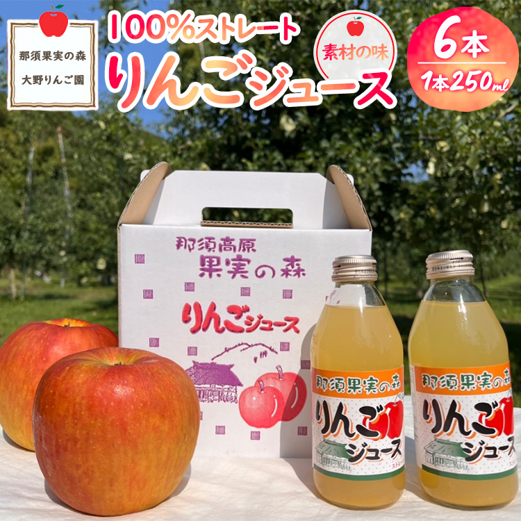 〔P-229〕那須果実の森りんごジュース250ml×6本栃木県那須町6000お茶・飲料果汁・野菜飲料