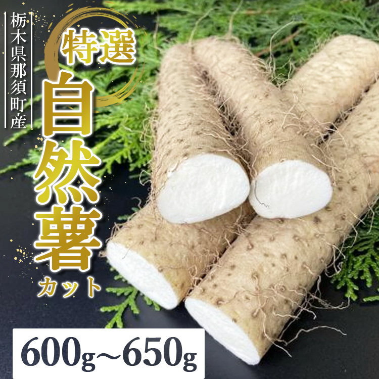 那須町産 自然薯(カット)600g〜650g|カット お土産 贈り物 ご自宅用 とろろ とろろご飯 山芋 健康 国産 産地直送 那須 栃木県 那須町〔P-151〕 ※2025年12月頃より順次発送予定栃木県那須町600