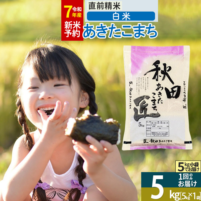 【白米】<令和7年産> 秋田県産 あきたこまち 匠 5kg (5kg×1袋) 5キロ お米秋田県仙北市14000米・パン白米
