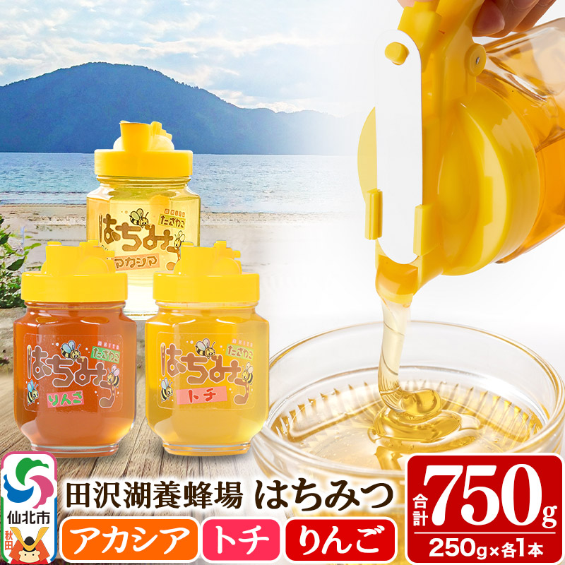 秋田県産はちみつ(アカシア・トチ・リンゴ)250g×各1本 合計750g 化粧箱入り 詰め合わせセット 田沢湖養蜂場秋田県仙北市15500鍋セット・総菜・加工食品