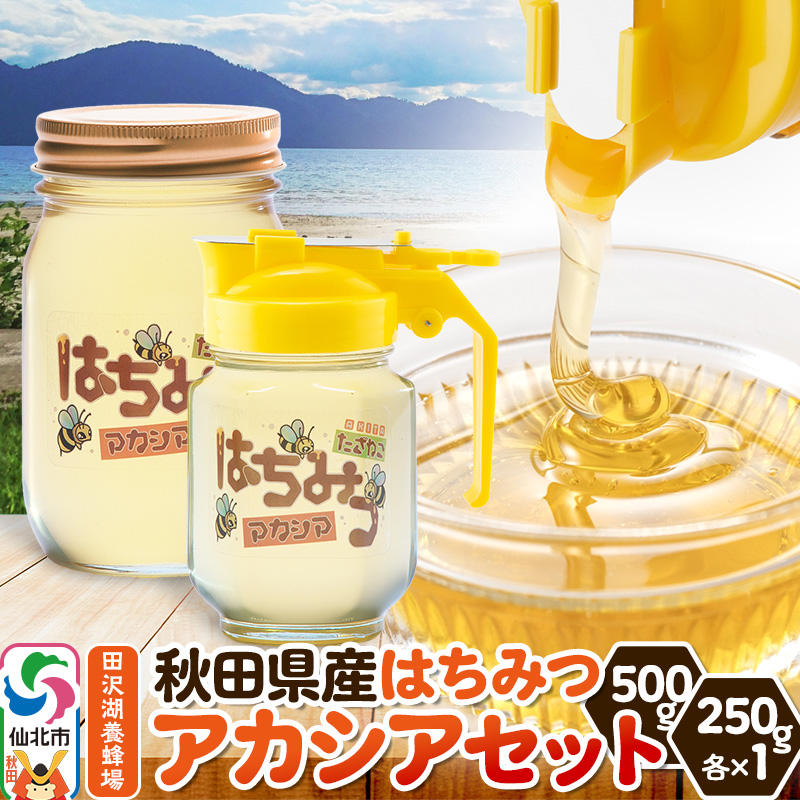 HcY݂͂ AJVAZbg 500g×1{E250g×1{ cΗ{IHcks16000ZbgE؁EHHi