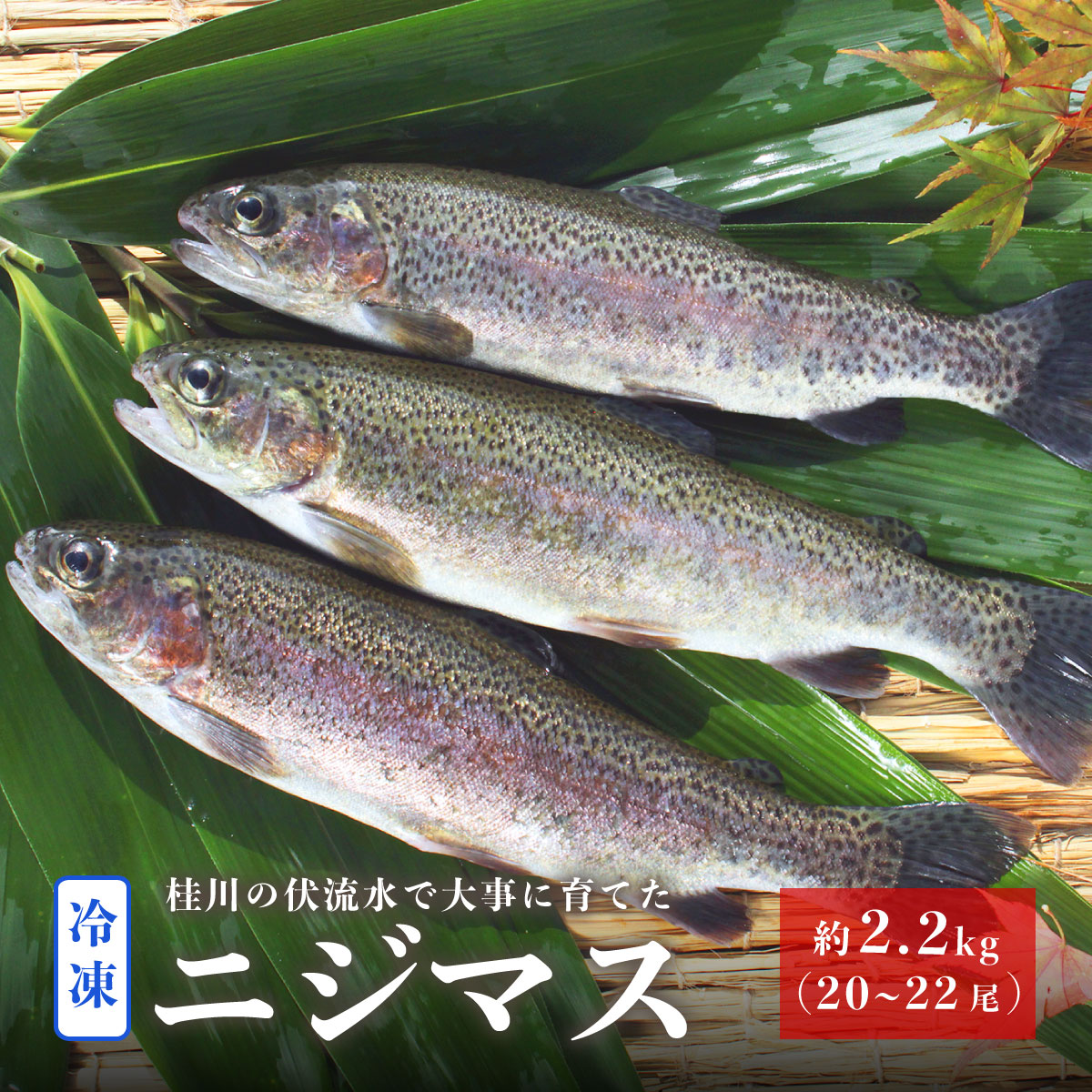 1012-008 山梨県産 桂川の冷凍ニジマス 計:約2.2kg(約20〜22尾)山梨県大月市11000魚介・海産物その他 魚介・海産物