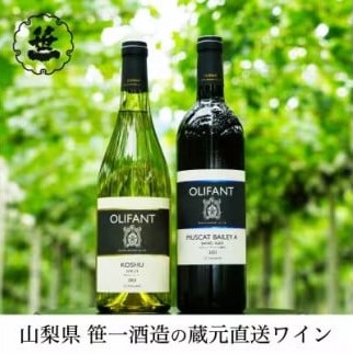 1001-103 【蔵元直送】笹一酒造のOLIFANT(オリファン)ワイン<甲州・MBA>2本セット山梨県大月市18000酒・アルコールワイン