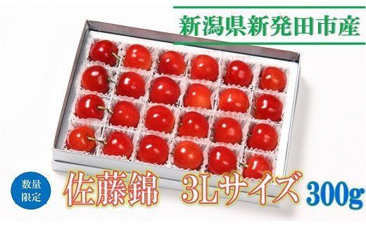 【数量限定】佐藤錦3L 300g C04_01新潟県新発田市14000果物・フルーツさくらんぼ