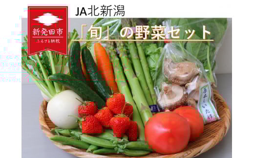 新発田産  旬の野菜セット C08新潟県新発田市14000野菜・きのこその他 野菜