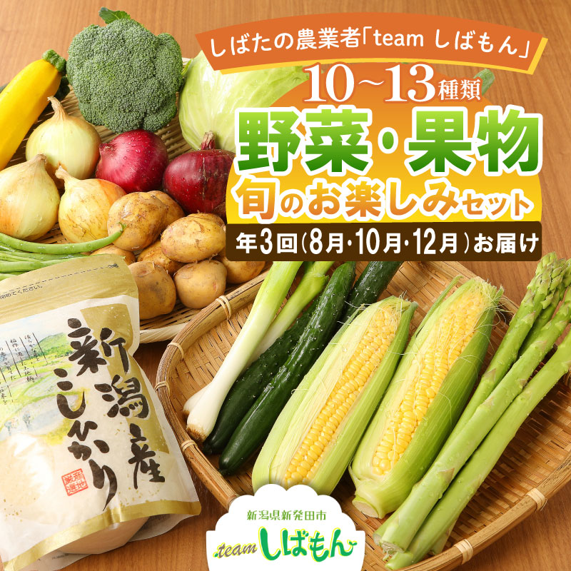 【年3回】 teamしばもん 季節の野菜セット C17_01新潟県新発田市38000野菜・きのこ