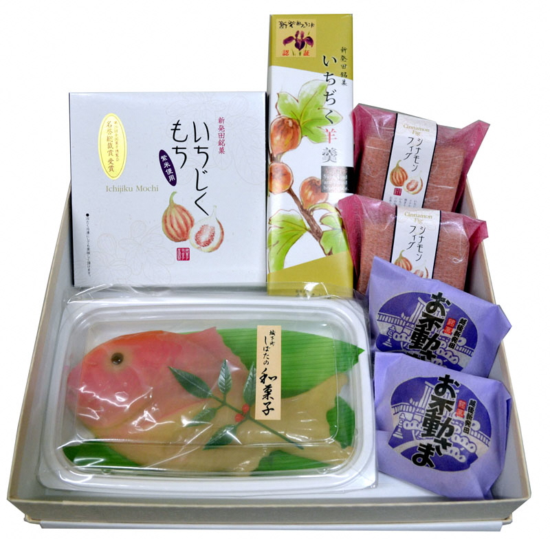 和菓子 老舗 和菓子セット いちじく 羊羹 もち 金子屋老舗 無花果 映日果 一熟 あんこ anko 白あん 白餡 赤あん 赤餡 餅 セット 詰合せ 贈答 ギフト プレゼント お祝い 菓子 銘菓 名物 国産 新