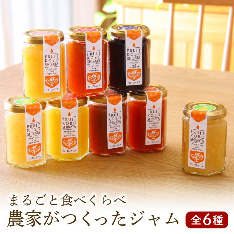 ジャム 6個セット(6種×150g)【自家製 ジャム 詰合せ 手作り 果物 贈り物 ギフト 橋農園 新潟県 新発田市】 C55新潟県新発田市11000鍋セット・総菜・加工食品ジャム・はちみつ