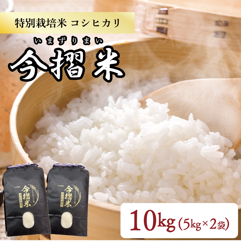 新米コシヒカリ8キロさつまいも付き 令和6年産新米【定期便】コシヒカリ 5kg×6回 計30㎏ 新潟県