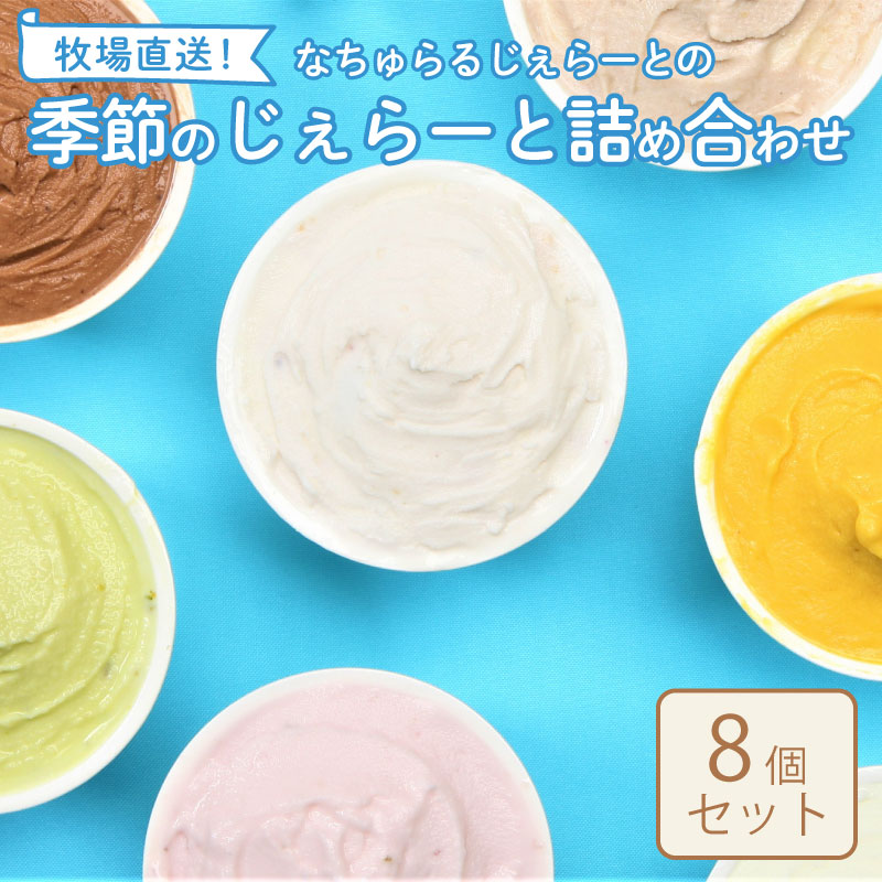 ジェラート 8個セット  【 ミルク チョコ ブルーベリー チーズ ピスタチオ 塩 キャラメル アイス ジェラート セット 季節 てづくり なちゅらるじぇらーと なかの牧場 8個 】 F04_01新潟県新