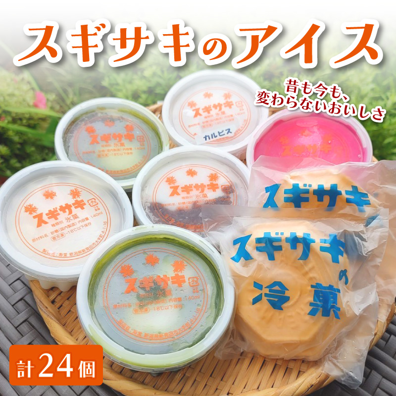 スギサキのモナカアイス・カップアイスセット 24個入 F05_02新潟県新発田市20000菓子・スイーツアイス・ジェラート